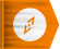 Daily Tours
